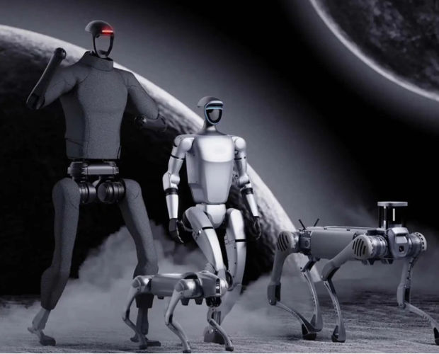 Humanoid Robot